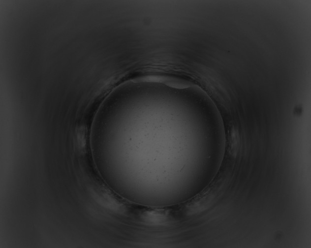 X0000093100232200710031505