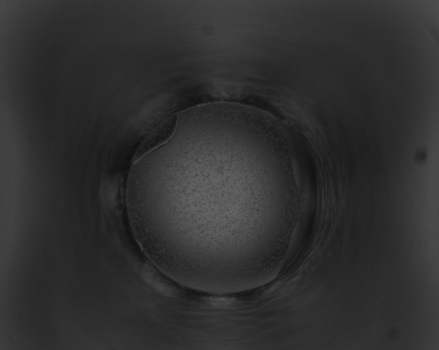 X0000093100233200710031505