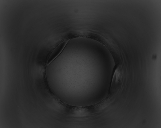 X0000093100235200710031505