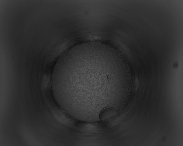 X0000093100236200710031505