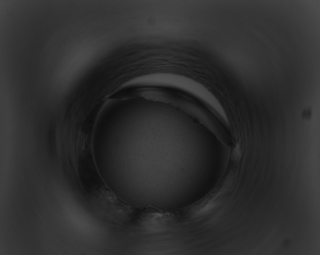 X0000093100239200710031505