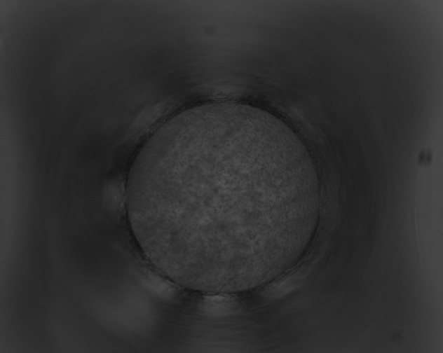 X0000093100240200710031505