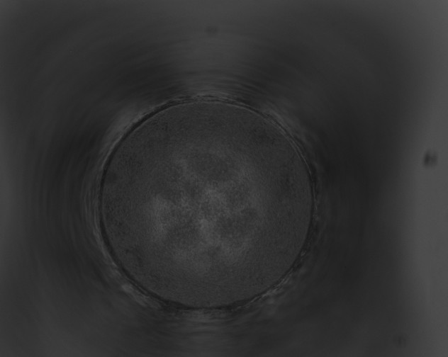 X0000093100241200710031504