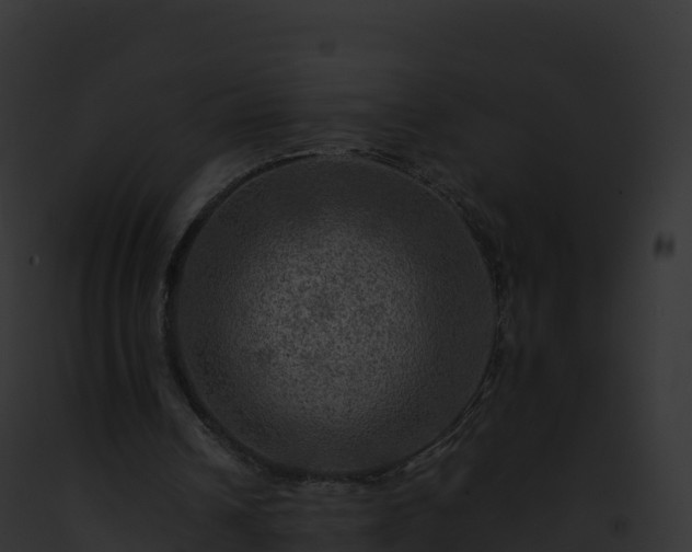 X0000093100242200710031504