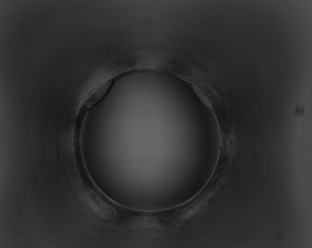 X0000093100244200710031505