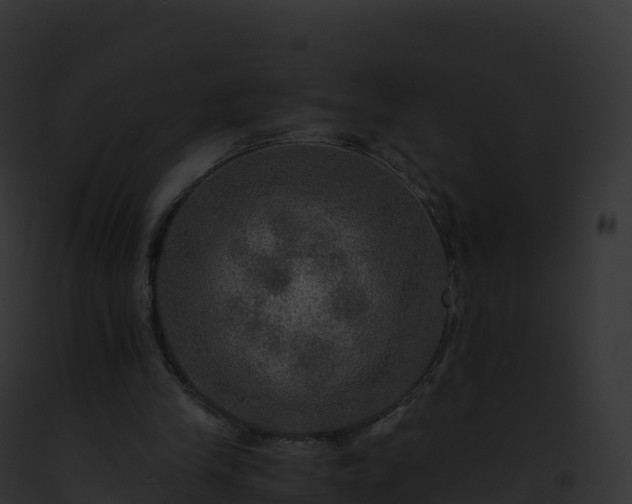 X0000093100245200710031505