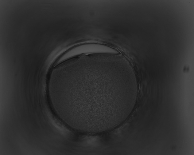 X0000093100247200710031505