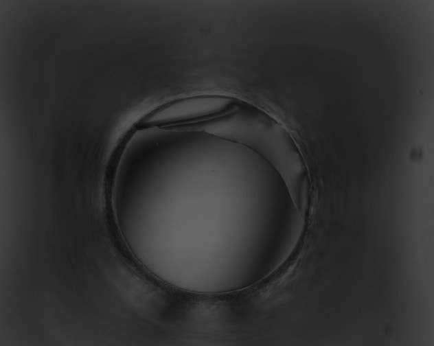 X0000093100248200710031505