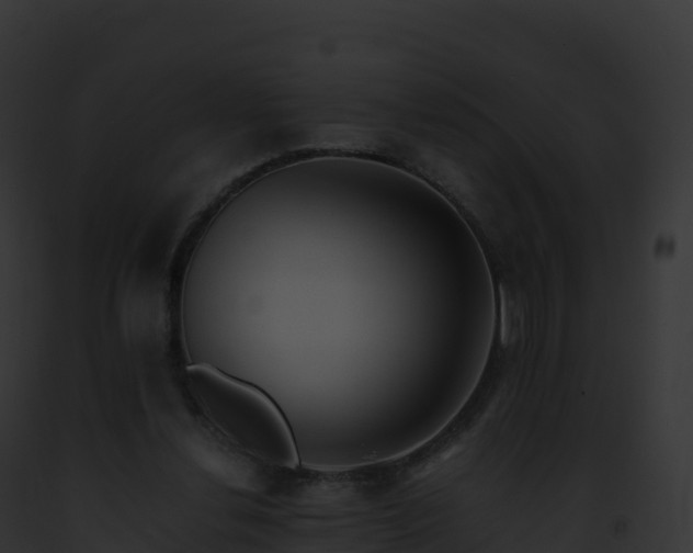 X0000093100252200710031505