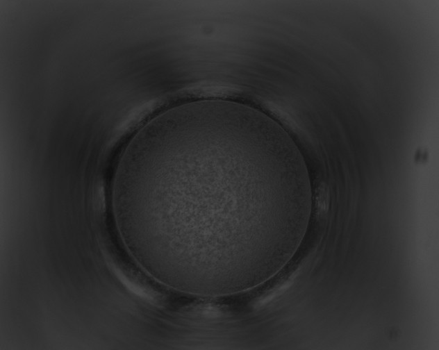 X0000093100254200710031505