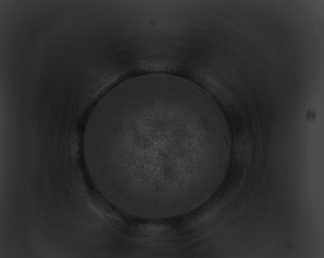 X0000093100255200710031505