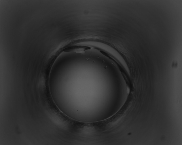 X0000093100256200710031505