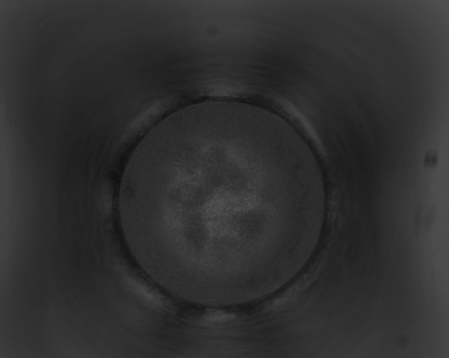 X0000093100257200710031505