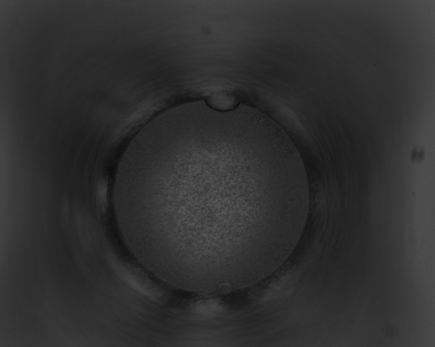 X0000093100262200710031505