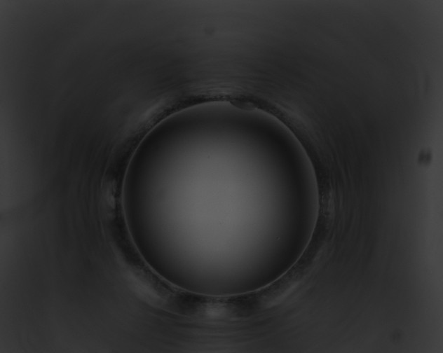X0000093100264200710031505