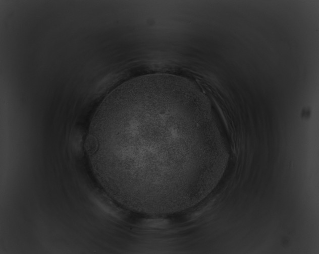 X0000093100266200710031505
