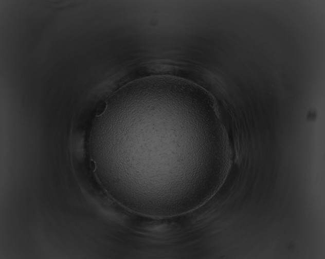 X0000093100267200710031505