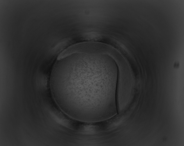 X0000093100268200710031505