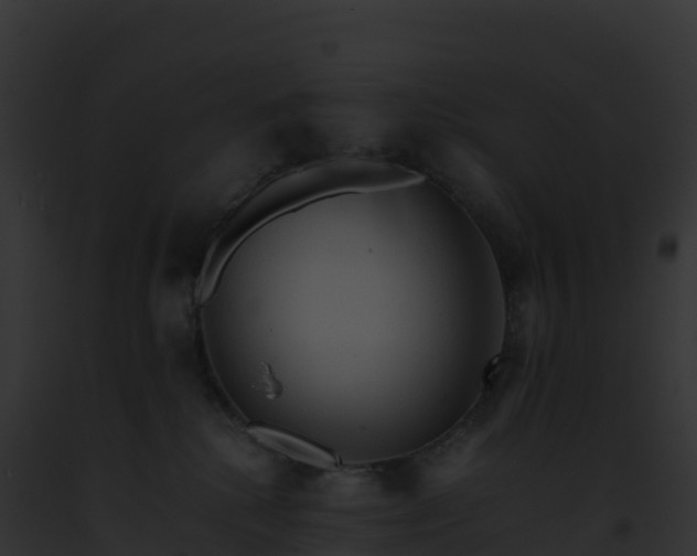 X0000093100280200710031505