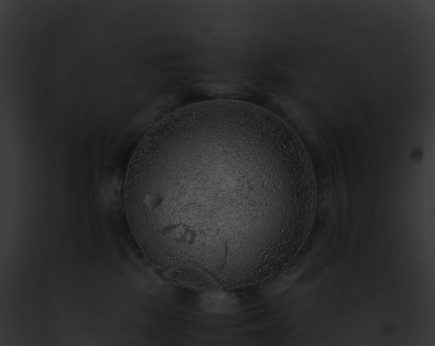 X0000093100281200710031505