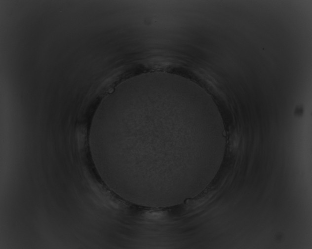 X0000093100283200710031505