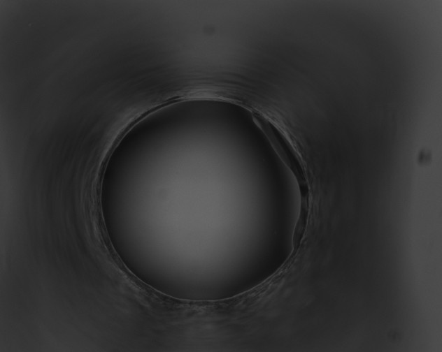 X0000093100289200710031504