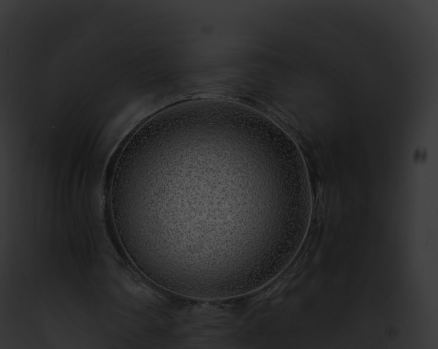 X0000093100290200710031504