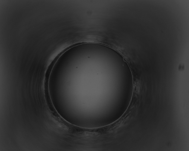X0000093100292200710031504