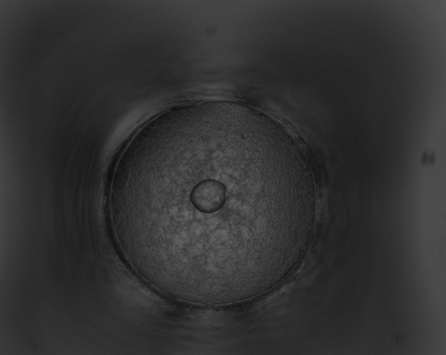 X0000093100293200710031504