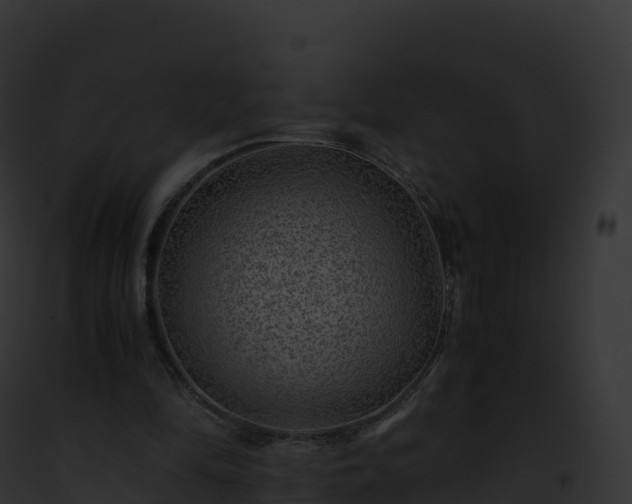 X0000093100294200710031504