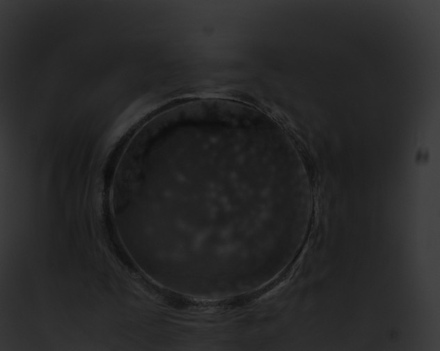 X0000093100295200710031504