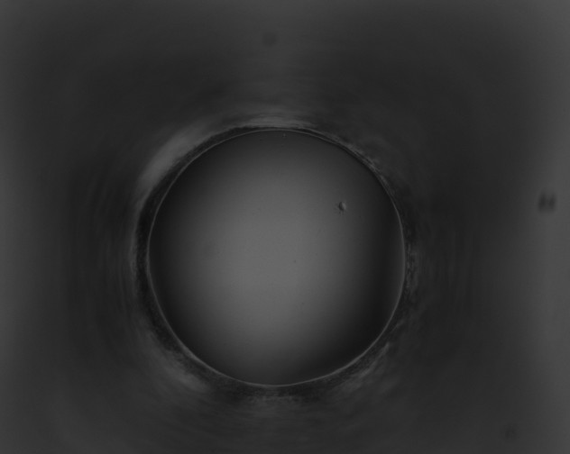 X0000093100296200710031504