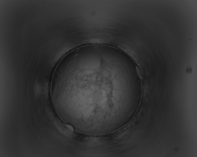 X0000093100297200710031504