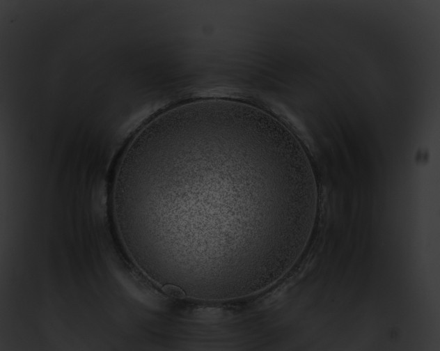 X0000093100298200710031504