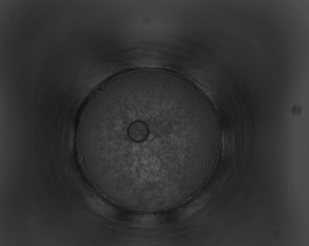 X0000093100301200710031504