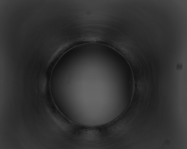 X0000093100304200710031504