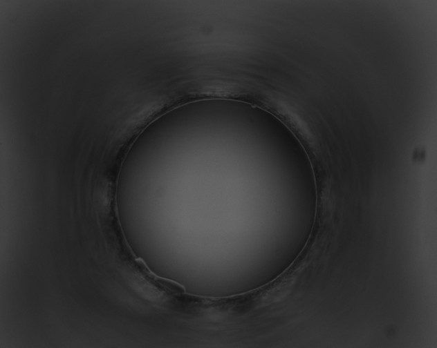 X0000093100305200710031504