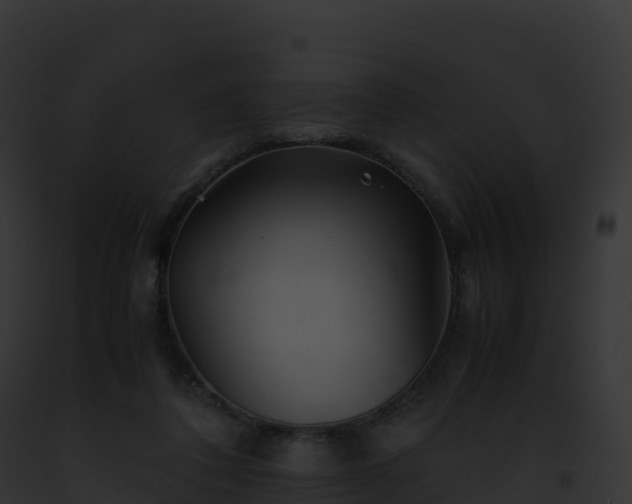 X0000093100308200710031504
