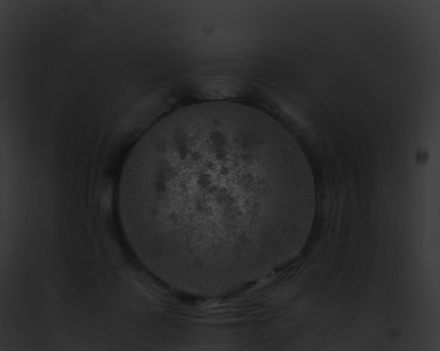 X0000093100315200710031504