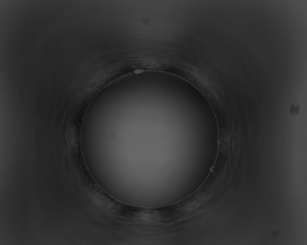X0000093100317200710031504