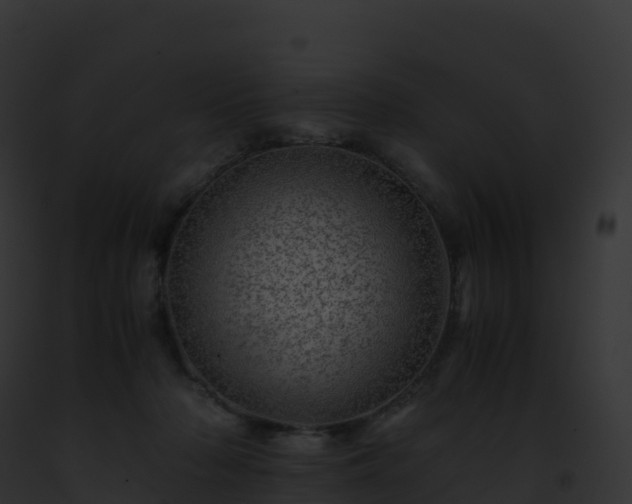 X0000093100318200710031504