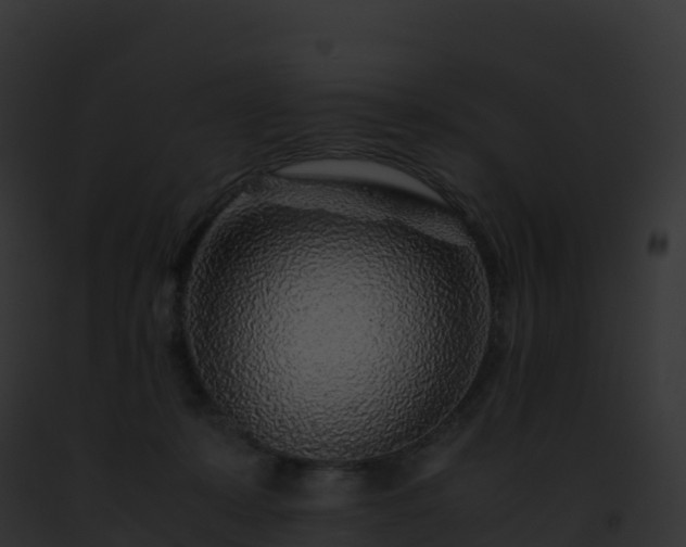 X0000093100319200710031504
