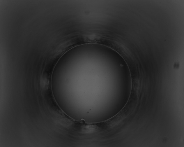 X0000093100324200710031504