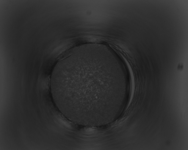 X0000093100325200710031504