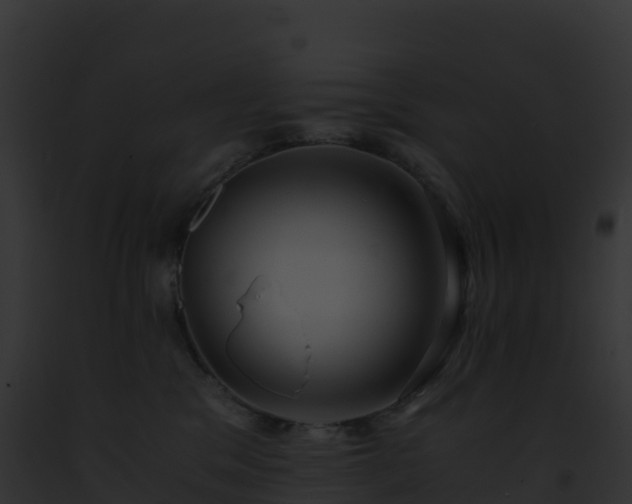 X0000093100329200710031504