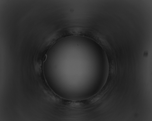 X0000093100332200710031504