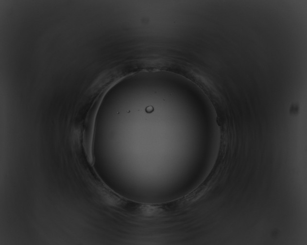 X0000093100333200710031504