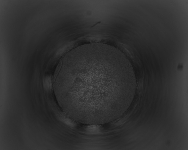 X0000093100335200710031504