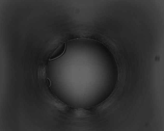 X0000093100336200710031504