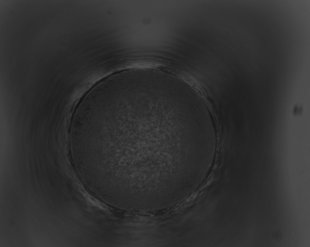 X0000093100337200710031503